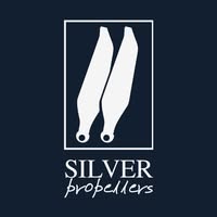 Silver Propellers Logo